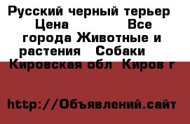 Русский черный терьер › Цена ­ 35 000 - Все города Животные и растения » Собаки   . Кировская обл.,Киров г.